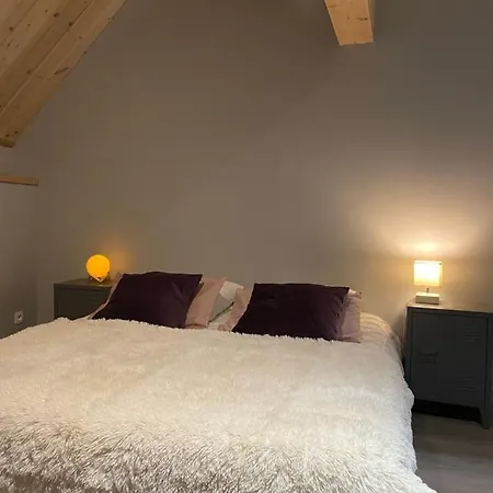Appartamento Venosc, Le De La Grange, Accès Piscine Et Espace Bien-être *